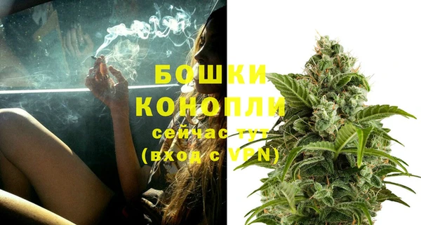 PSILOCYBIN Навашино