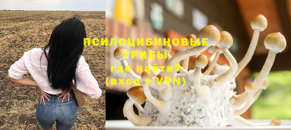 гидропоника Абаза