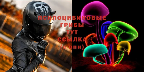 МДПВ Алзамай