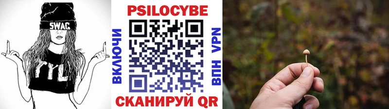 Псилоцибиновые грибы GOLDEN TEACHER где продают наркотики Иркутск